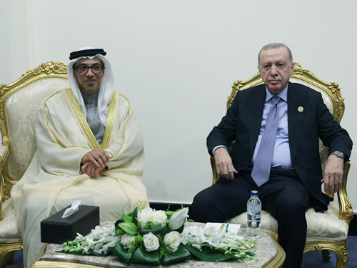 President Erdoğan meets with UAE Vice President Mansour bin Zayed Al Nahyan